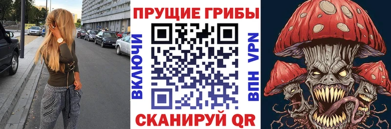 OMG как зайти  Биробиджан  Псилоцибиновые грибы Cubensis 